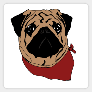 Pug bandana Sticker